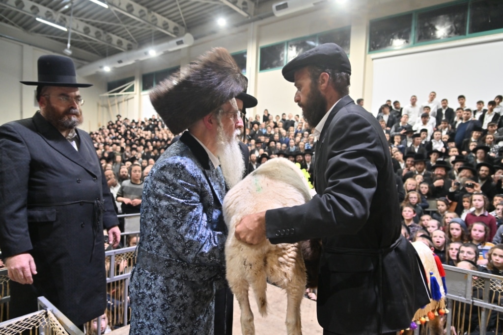 הרבי פרץ בבכי: מעמד פדיון פטר חמור במעליץ