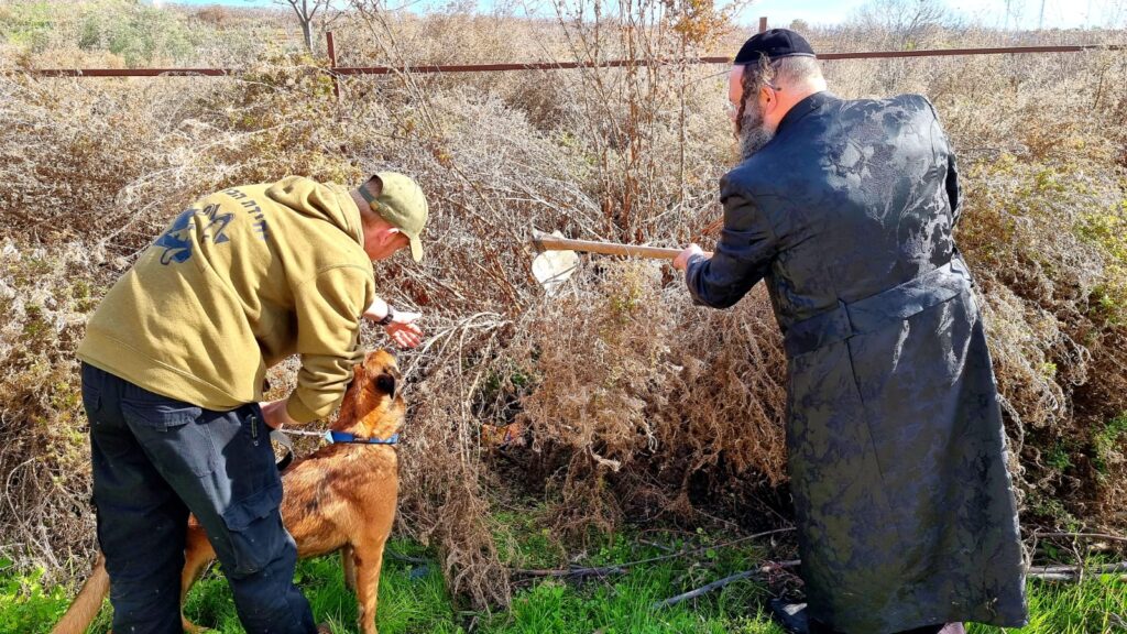 בתא שטח סבוך: החיפושים אחרי מושי נמשכים