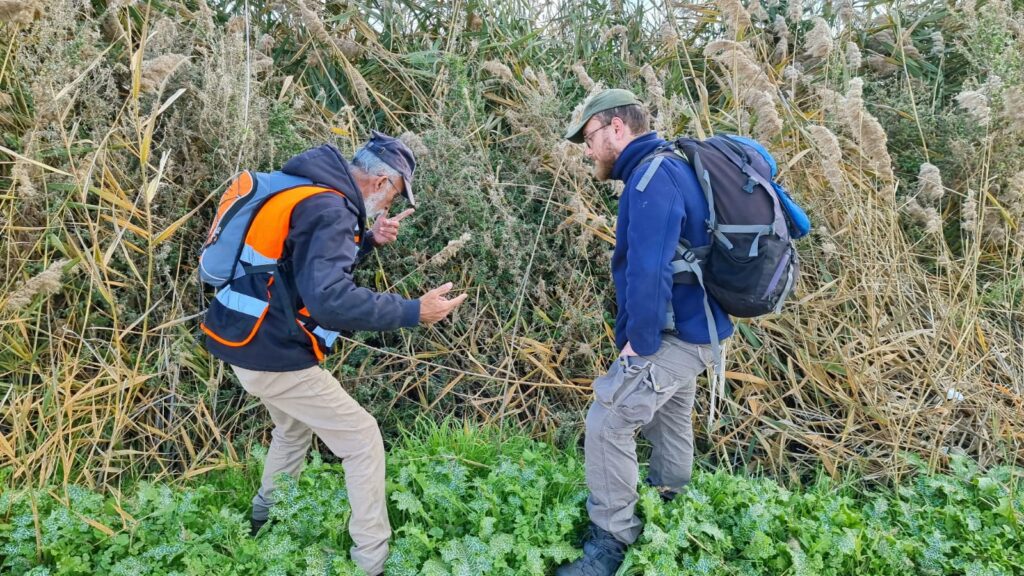 בתא שטח סבוך: החיפושים אחרי מושי נמשכים