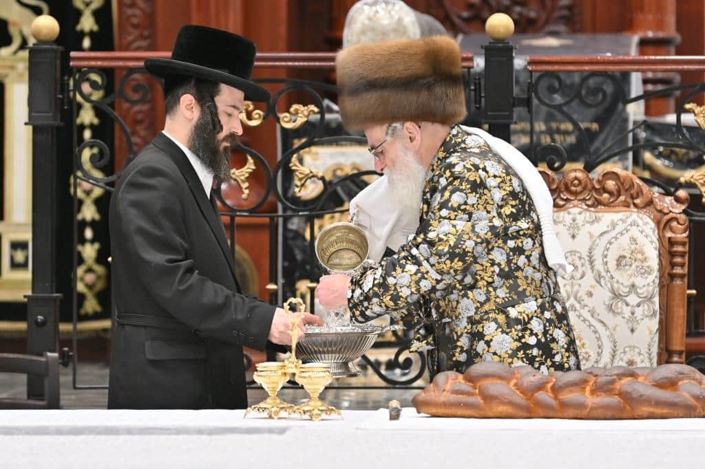 גלריה: ט"ו בשבט בחצר הקודש ויז'ניץ