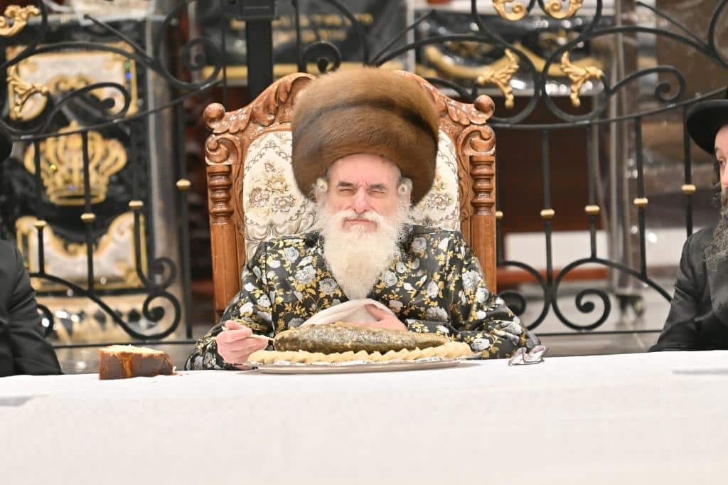 גלריה: ט"ו בשבט בחצר הקודש ויז'ניץ