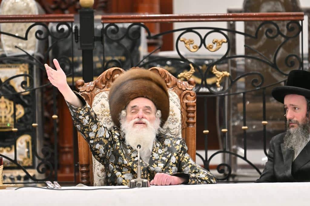 גלריה: ט"ו בשבט בחצר הקודש ויז'ניץ