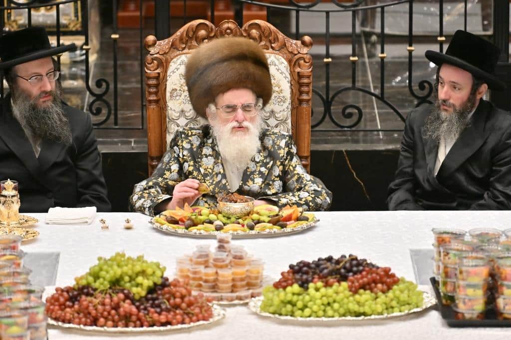 גלריה: ט"ו בשבט בחצר הקודש ויז'ניץ