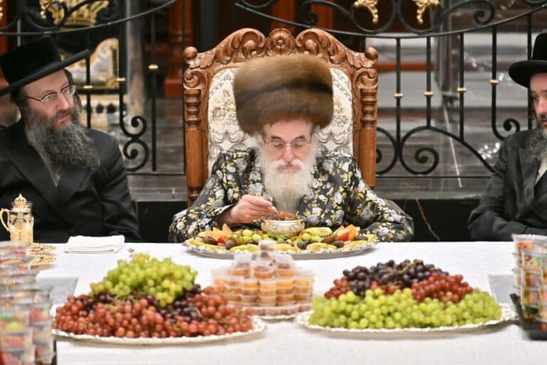 גלריה: ט"ו בשבט בחצר הקודש ויז'ניץ