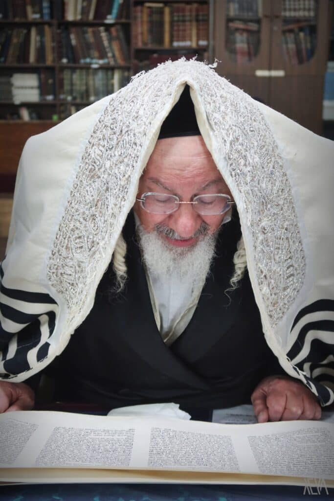 כָּל הַחוֹסִים בָּךְ • הרבי מזאלאזיץ בקריאת המגילה בבית מדרשו