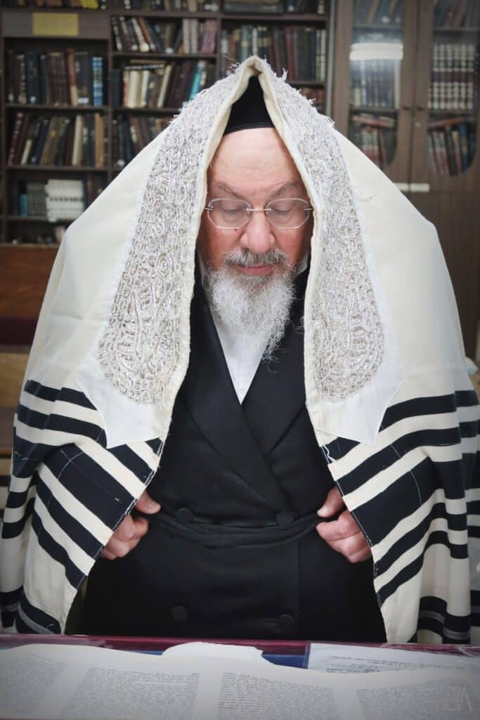 כָּל הַחוֹסִים בָּךְ • הרבי מזאלאזיץ בקריאת המגילה בבית מדרשו