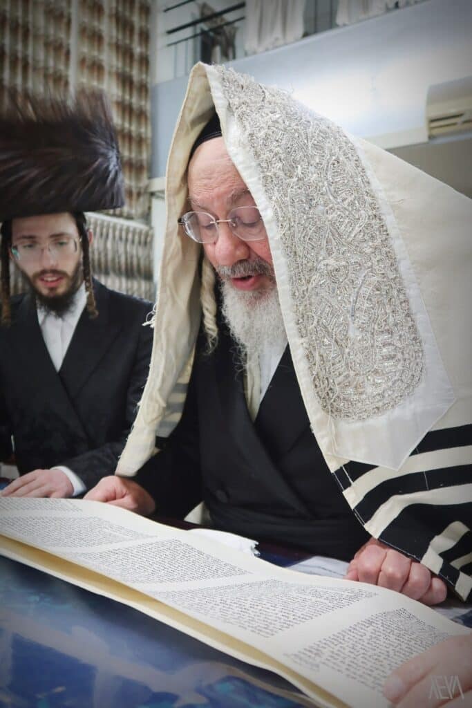 כָּל הַחוֹסִים בָּךְ • הרבי מזאלאזיץ בקריאת המגילה בבית מדרשו