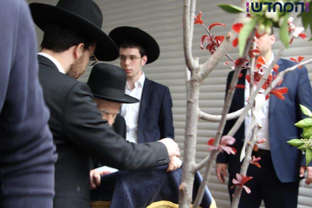 מרן הגר"ג אדלשטין והגר"מ בן שמעון בברכת האילנות