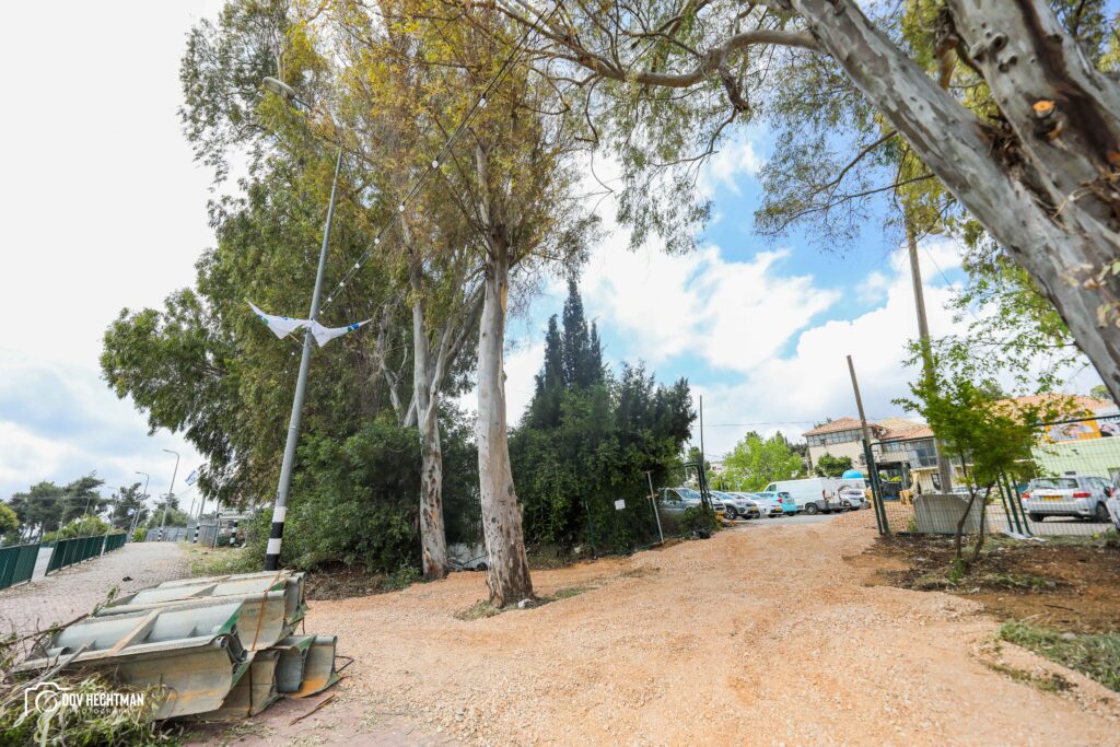 שבוע וחצי לל"ג בעומר: ההכנות להילולת הרשב"י בעיצומן