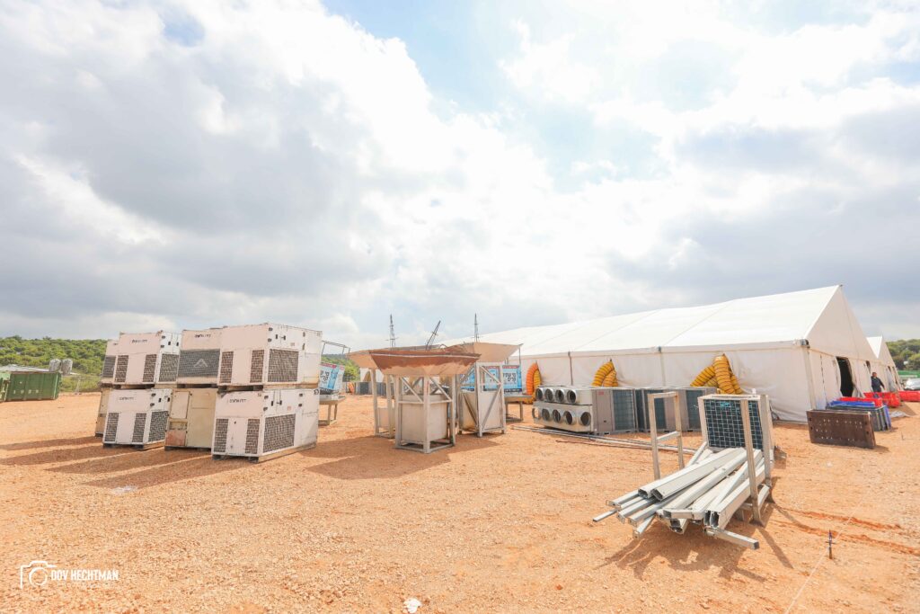 שבוע וחצי לל"ג בעומר: ההכנות להילולת הרשב"י בעיצומן