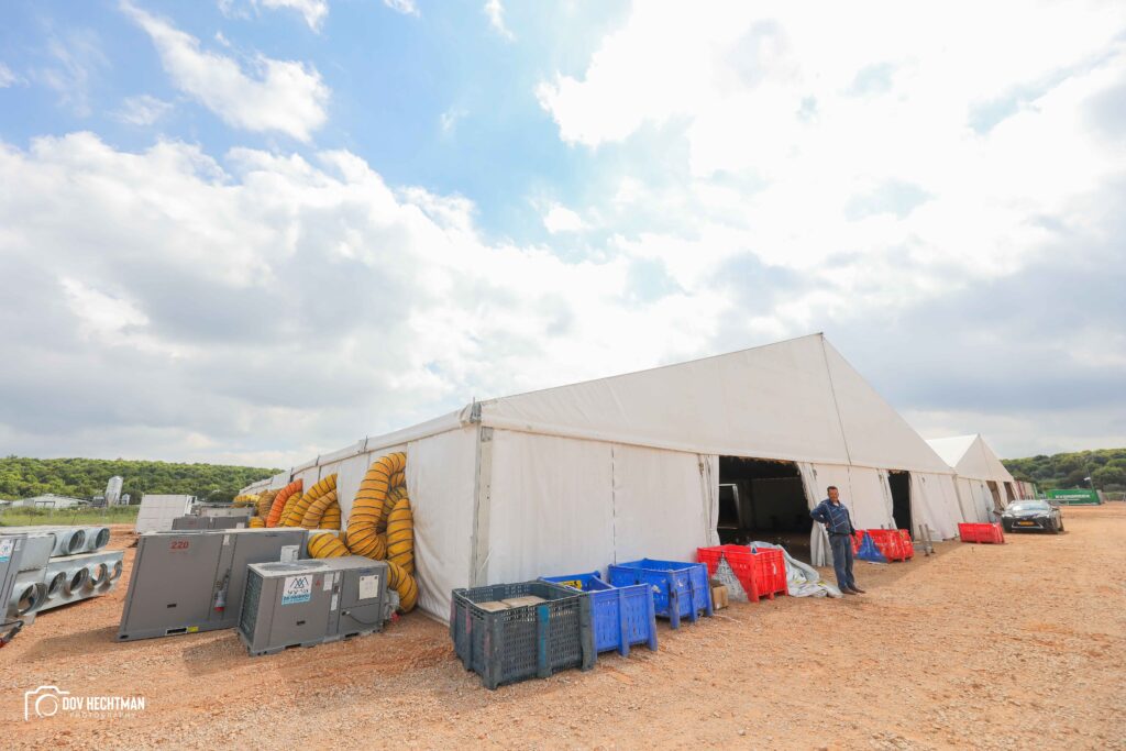 שבוע וחצי לל"ג בעומר: ההכנות להילולת הרשב"י בעיצומן