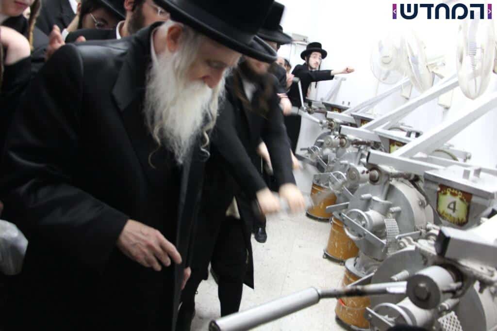 האדמו"ר יצא עם החסידים לטחינת חיטים