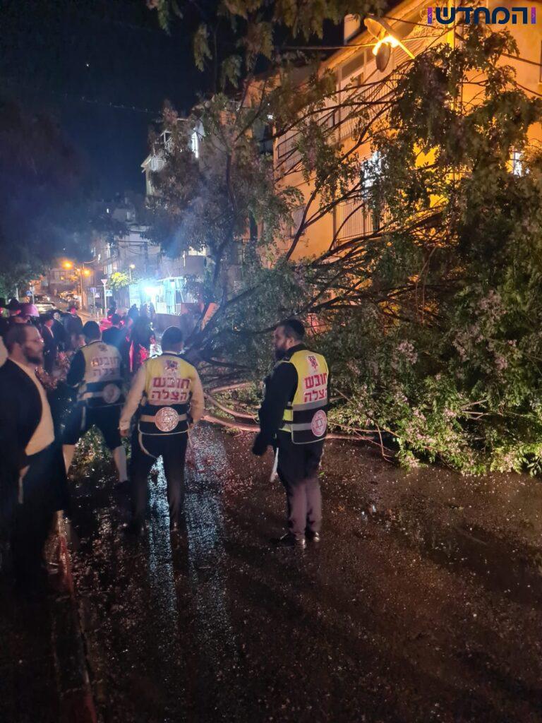 בני ברק: גבר כבן 65 פונה לאחר שנפגע מעץ שקרס