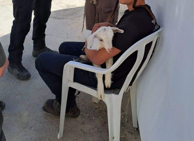 צפו: שני צעירים נעצרו על ידי המשטרה, בחשד שניסו להקריב קורבן פסח