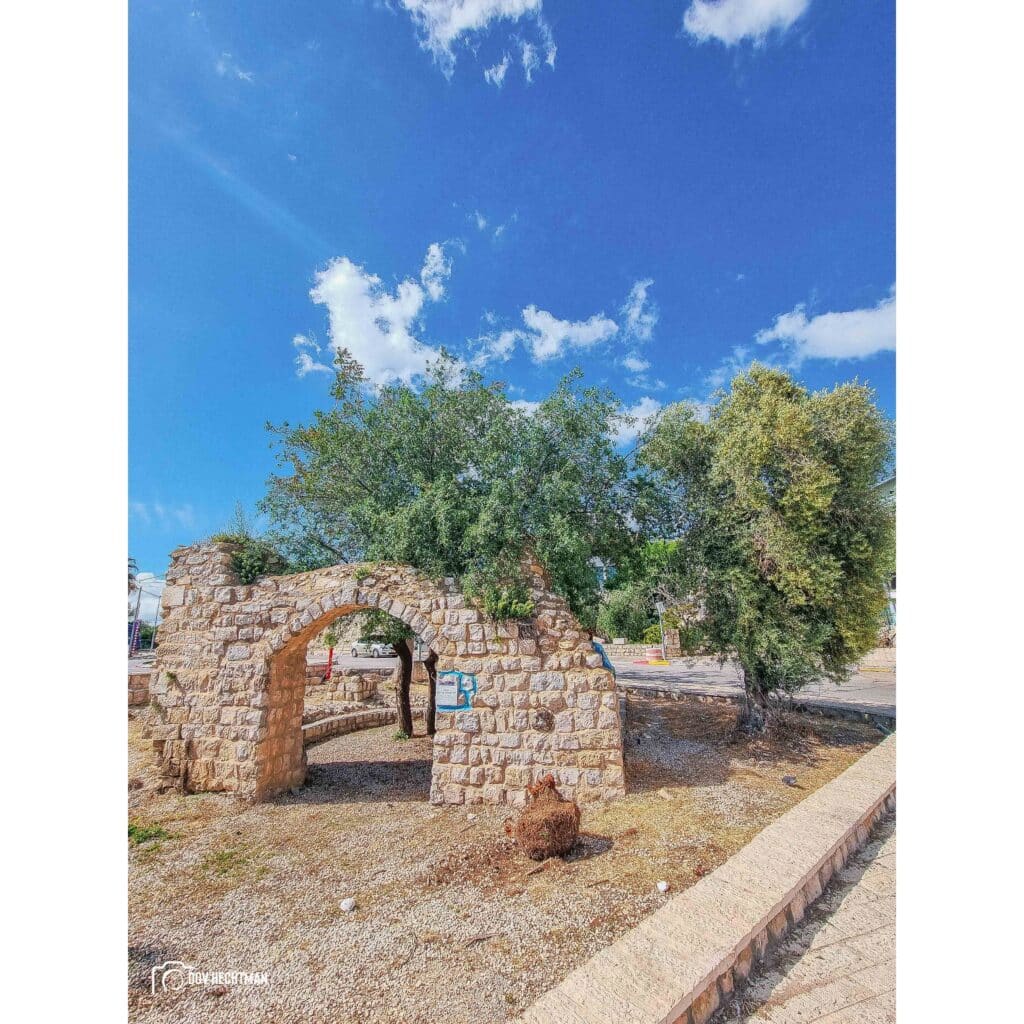 צפת שלא הכרתם: הצלם החב"די תיעד 50 רגעים