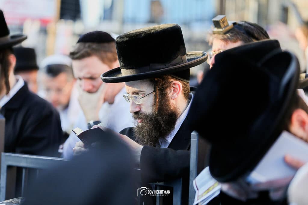 מְאִירַת עֵינֵינוּ: השמש זרחה על המתפללים במירון