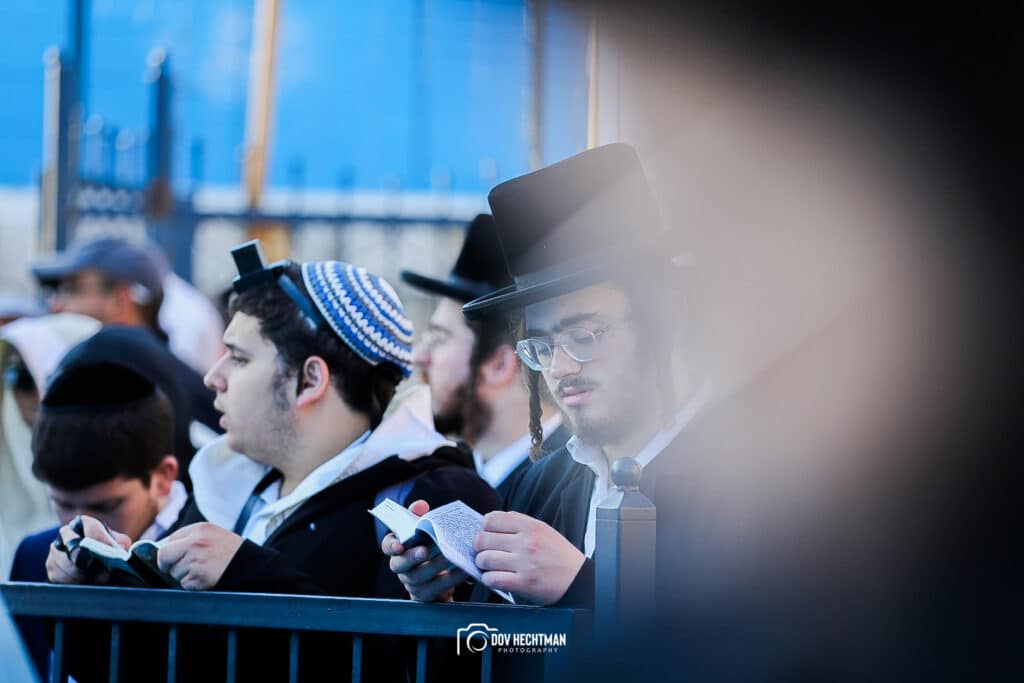 מְאִירַת עֵינֵינוּ: השמש זרחה על המתפללים במירון