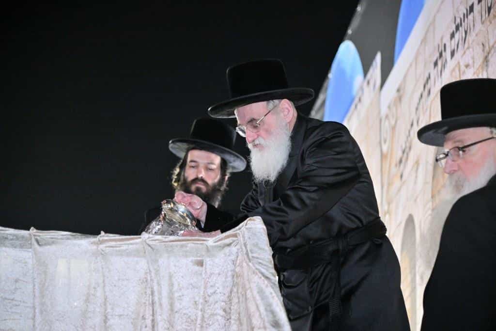 גלריה: האדמו"ר מויז'ניץ בהדלקה