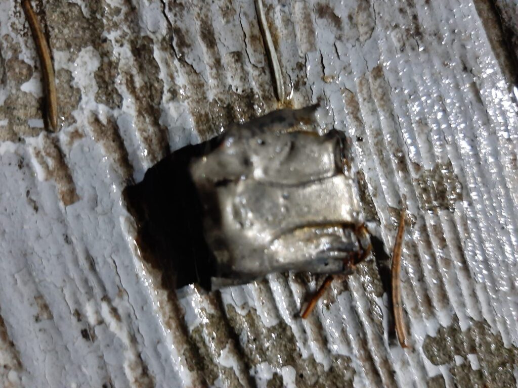 מתקפת המל"טים הגיעה לחצר של שליח חב"ד