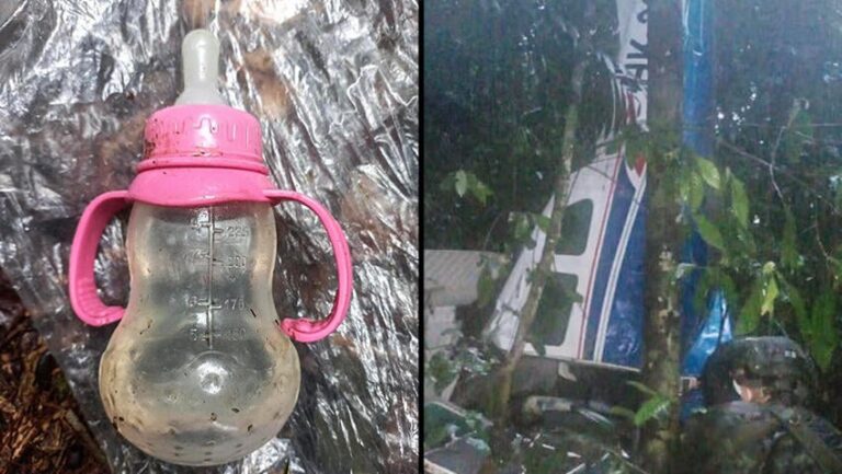 (צילום: AFP PHOTO / COLOMBIAN ARMY)