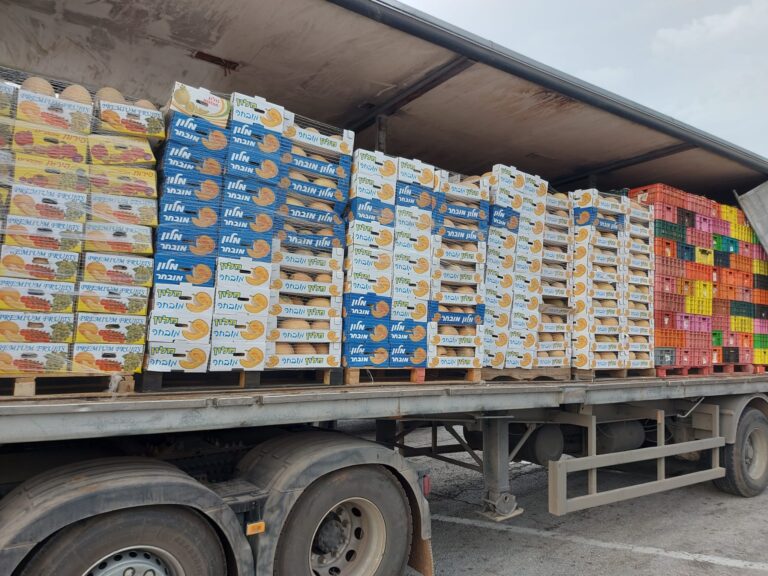 פירות וירקות