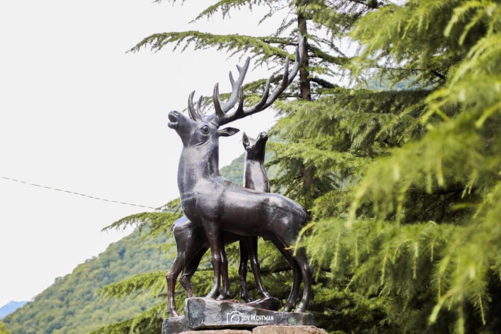 תיעוד מרהיב ועוצר נשימה: גאורגיה כפי שלא הכרתם