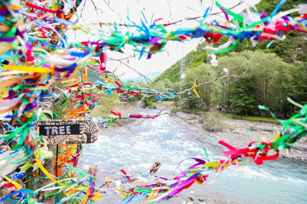 תיעוד מרהיב ועוצר נשימה: גאורגיה כפי שלא הכרתם