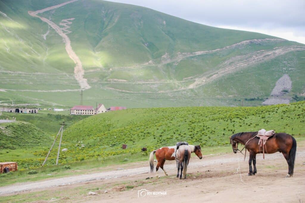 תיעוד מרהיב ועוצר נשימה: גאורגיה כפי שלא הכרתם