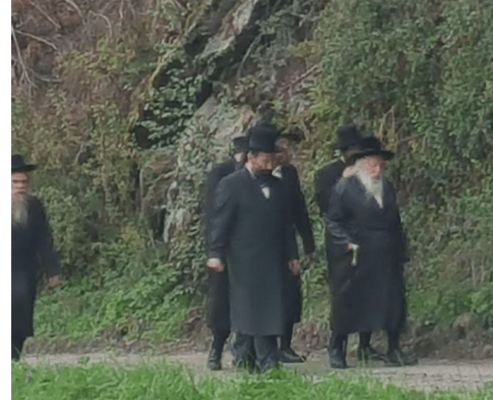 בנאות דשא: האדמו"ר מגור הולך עם החסידים בשוויץ