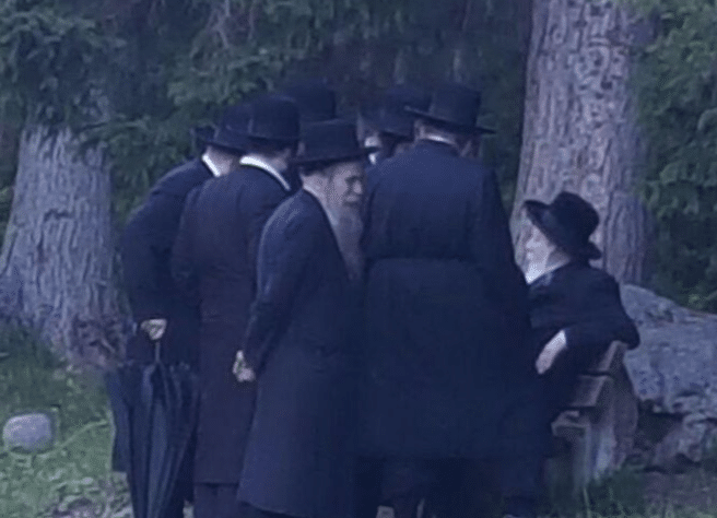 בנאות דשא: האדמו"ר מגור הולך עם החסידים בשוויץ