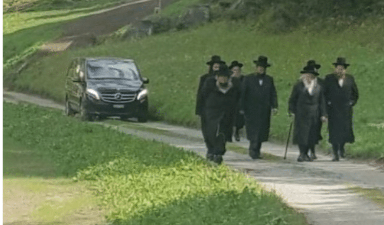 בנאות דשא: האדמו"ר מגור הולך עם החסידים בשוויץ