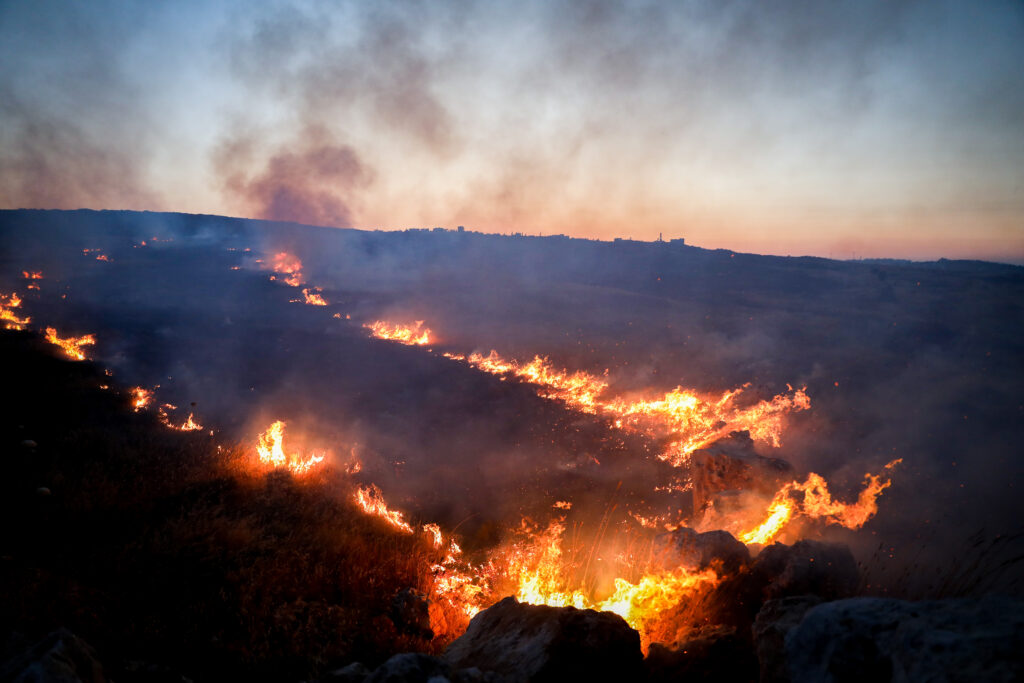 צה"ל מציג: רדיפת מתיישבים והגנה על פלסטינים