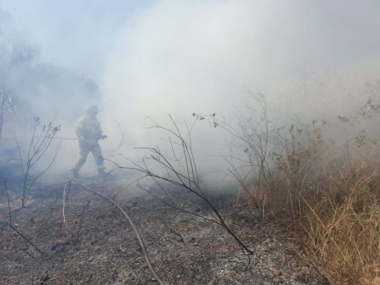 צוותי כיבוי כיבו דליקת ענק ליד רמלה