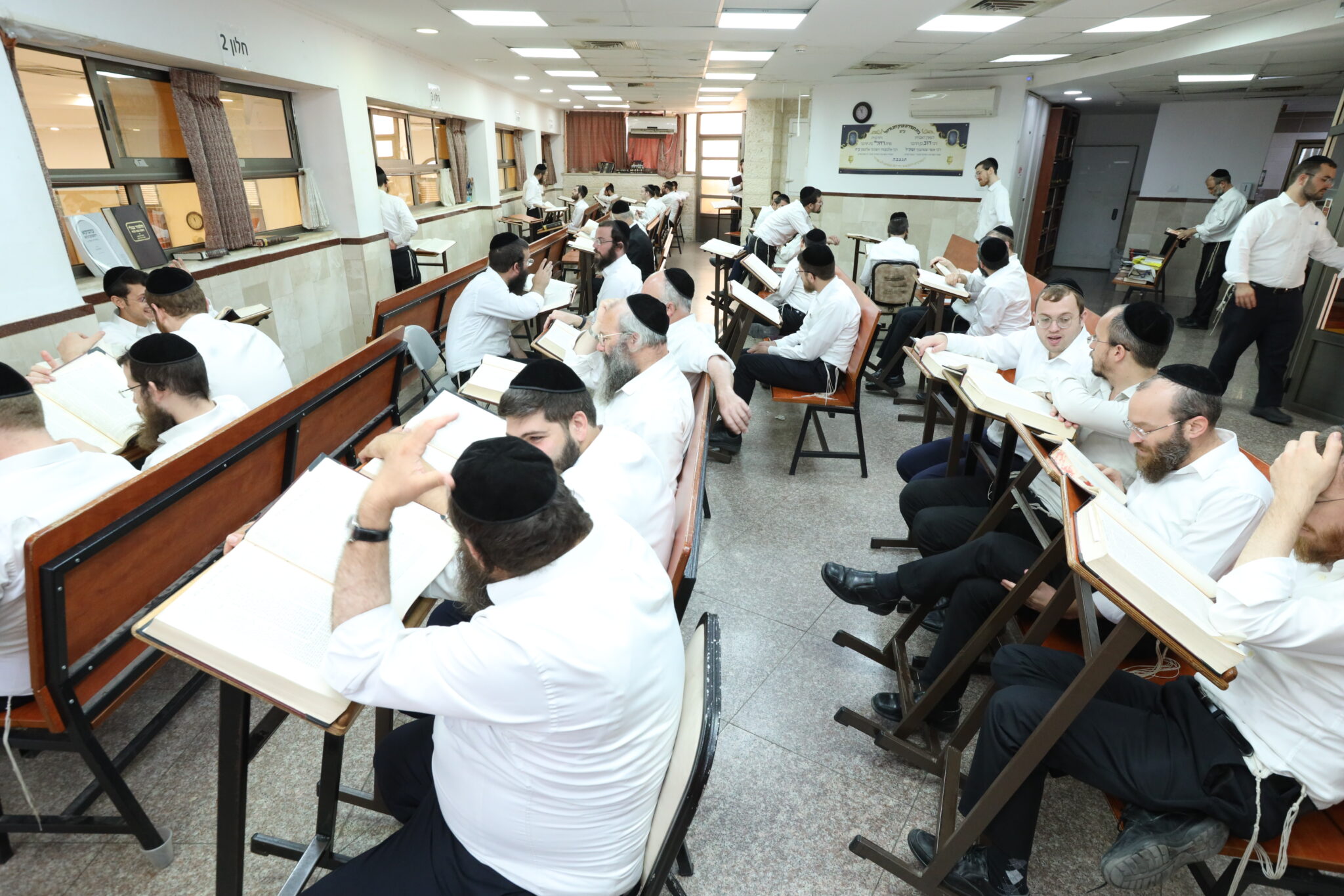 תיעוד מרגש מהשטייגען של אלול במודיעין עילית