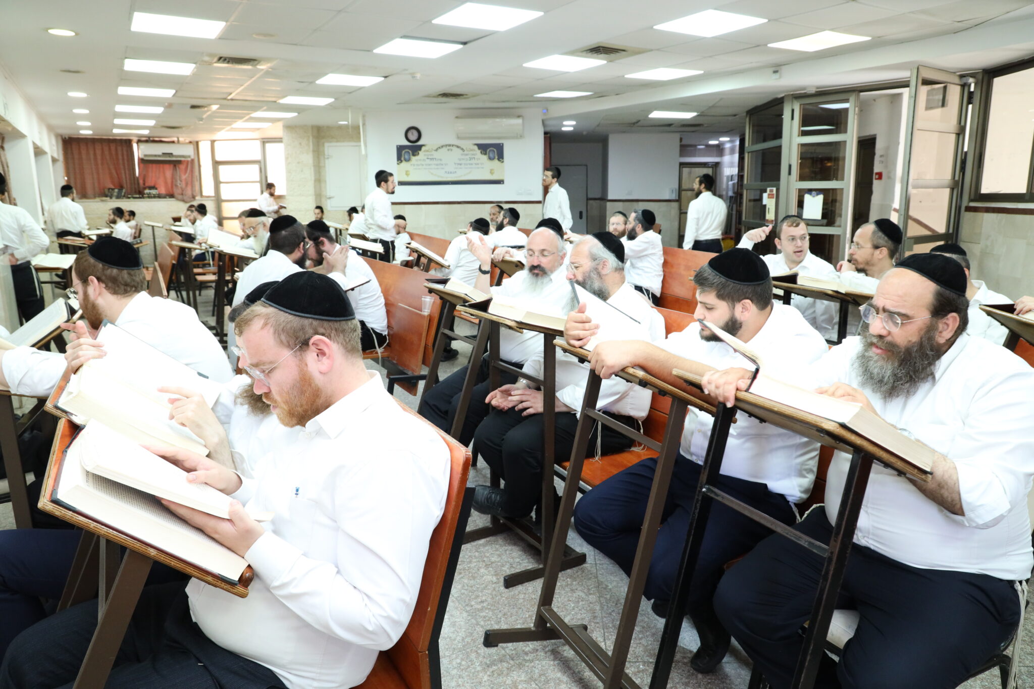 תיעוד מרגש מהשטייגען של אלול במודיעין עילית