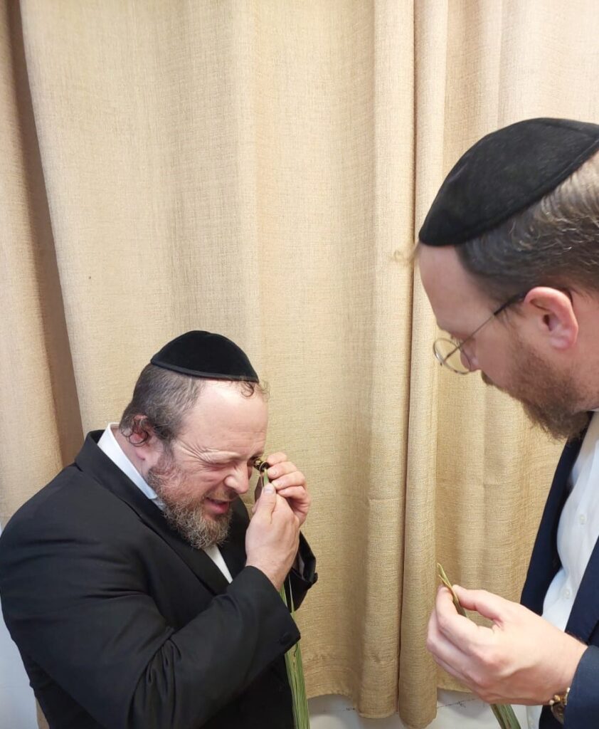 בשורה: מחירי ארבעת המינים השנה  צפויים לרדת בצורה משמעותית