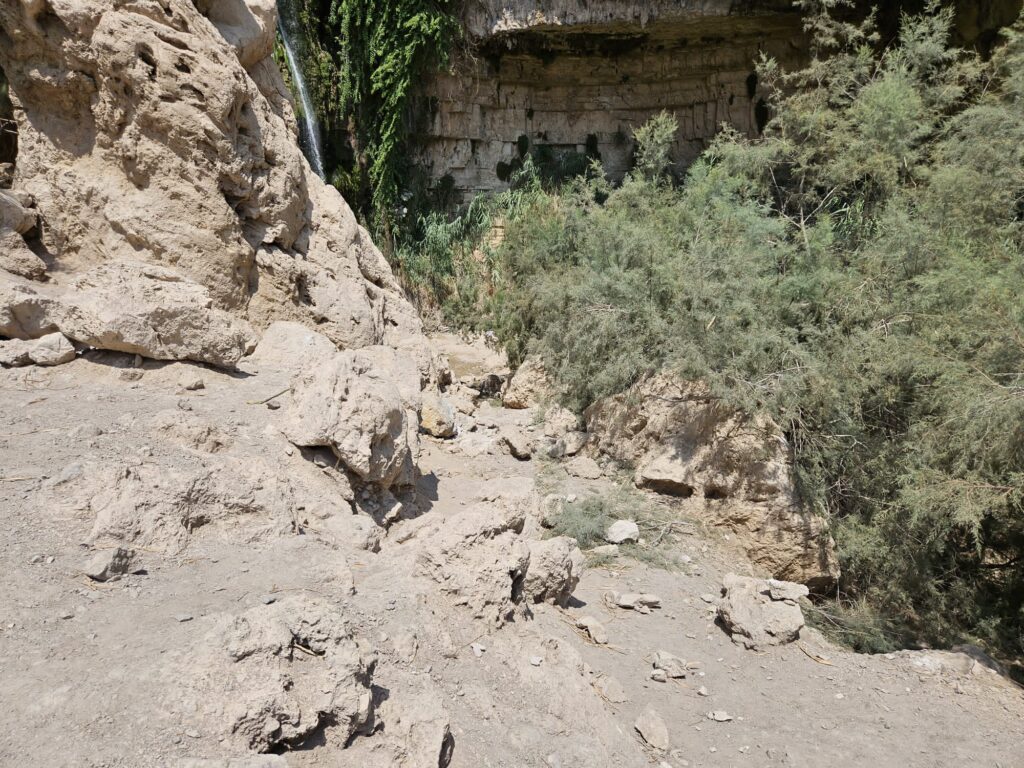 יהודה לוי בן ה- 8 הוא הילד שנהרג במפולת הסלעים