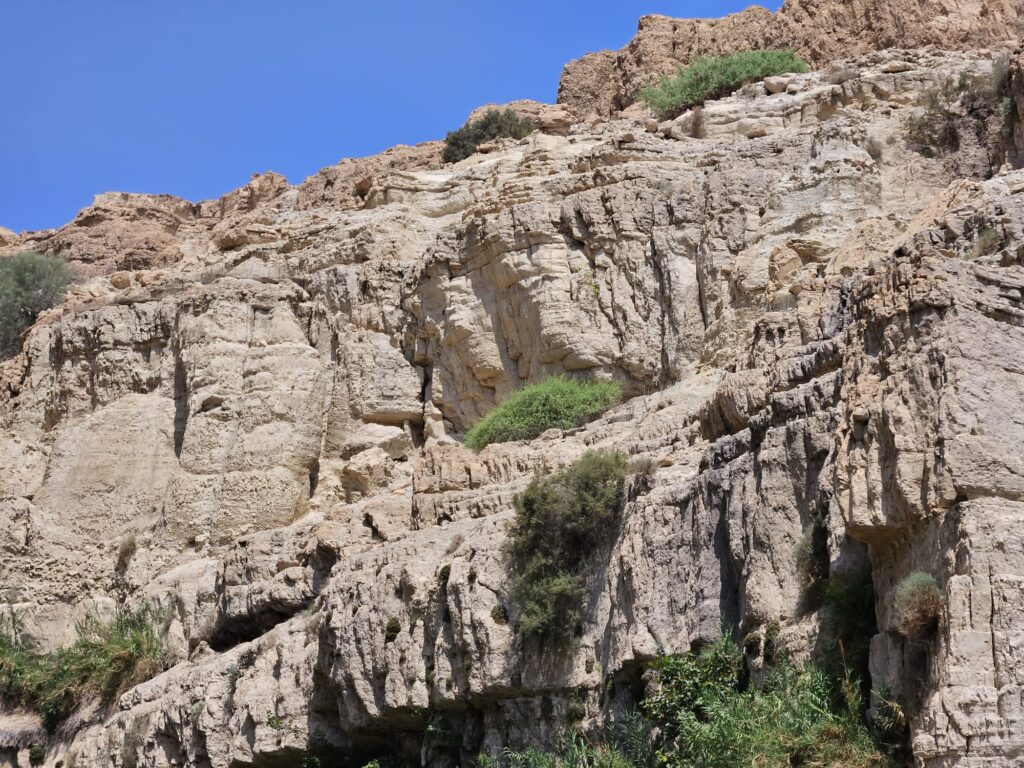 יהודה לוי בן ה- 8 הוא הילד שנהרג במפולת הסלעים