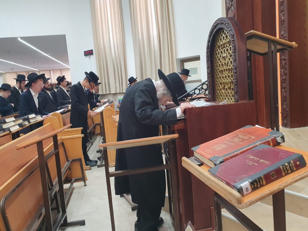 לרגל יום היארצייט: מרן הגר"ד לנדו על קבר אמו