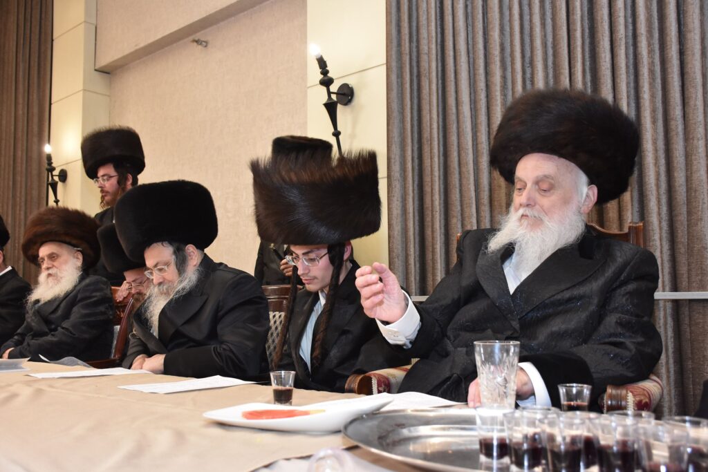 גלריה: אדמו"רים ורבנים בשמחת גאב"ד יביניאל - אשלג