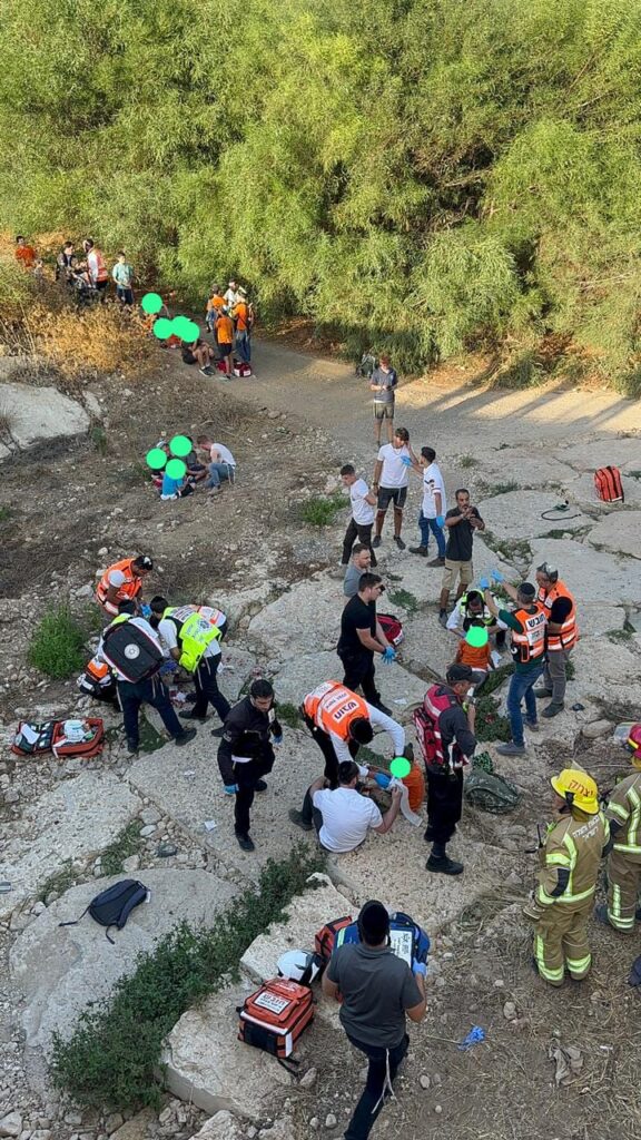 אוטובוס עם ילדים התהפך ליד בית שמש - 50 פצועים