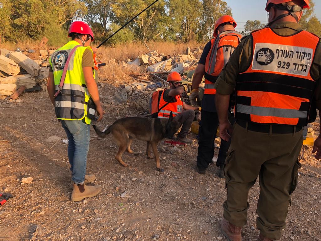 בעקבות רעידת האדמה במרוקו: יכ"ל מגבירה הילוך בהכשרת כלבים