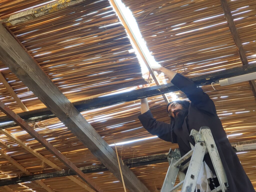 העיר אומן מתכוננת לחג הסוכות