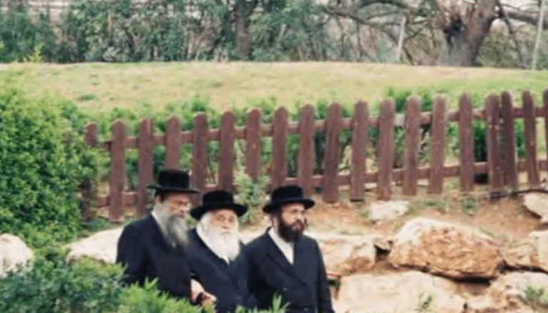 רבני 'רמת אלחנן' במכתב נגד ניסיון ההשתלטות על פארק ברוקלין