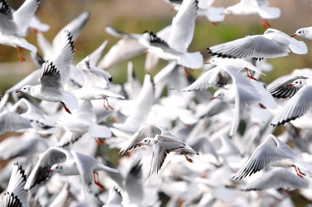 הסיפורים שמאחורי התמונות: צלמי לע"מ נחשפים