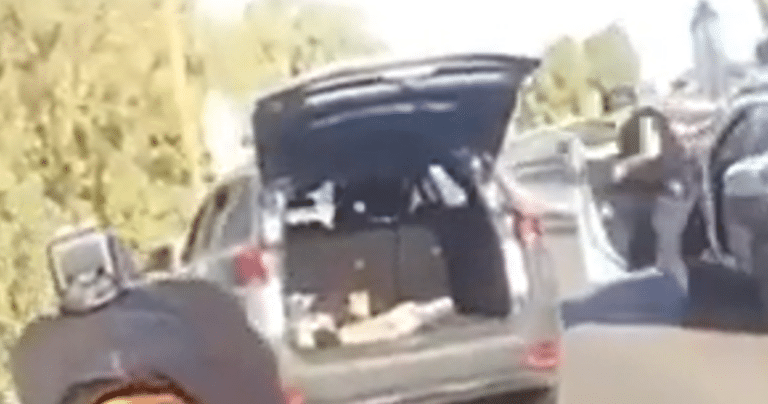 תיעוד דרמטי מהמרדף אחר המחבל בכבישי הדרום