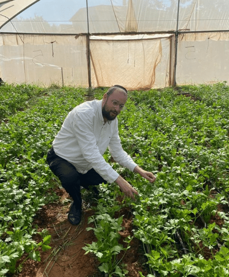 איצקוביץ - החדשות החמות של המגזר החרדי