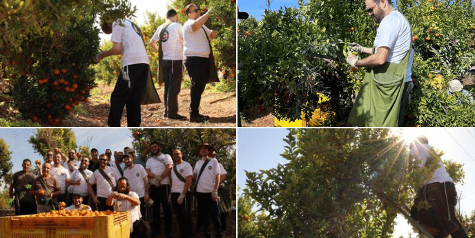 איצקוביץ' - החדשות החמות של המגזר החרדי איצקוביץ' - החדשות החמות של המגזר החרדי