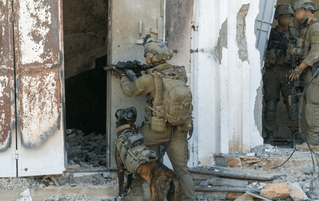 אוגדה 36 הצליחה להשתלט על שג׳עייה