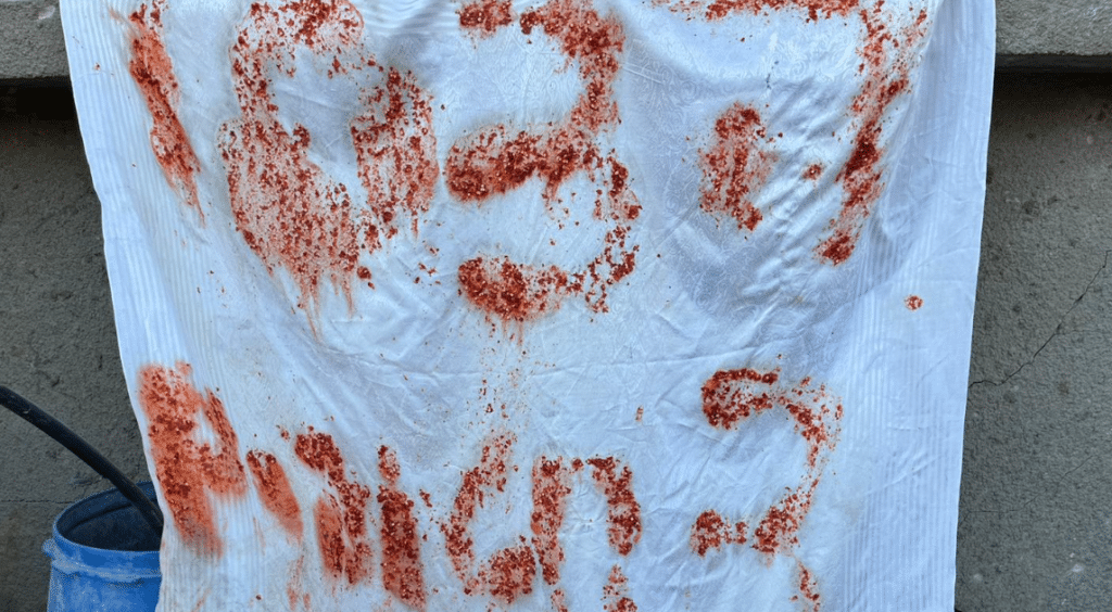 צה"ל תקף הלילה בדמשק, מספר אנשי צבא נפצעו; ח"כ סלימאן: "ישראל תכננה את המלחמה זמן רב"